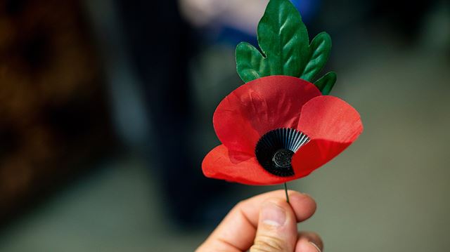 A British Legion poppy